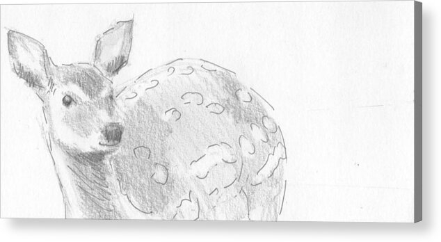 Deer Acrylic Print featuring the drawing Deer sketch #2 by Mike Jory