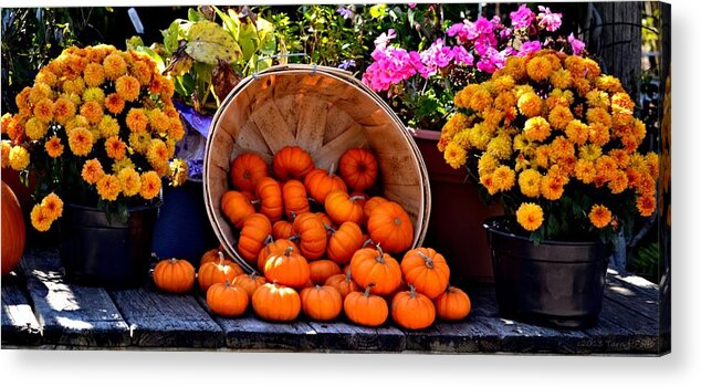 Pumpkins Acrylic Print featuring the photograph Baby Pumpkins and Marigolds by Tara Potts