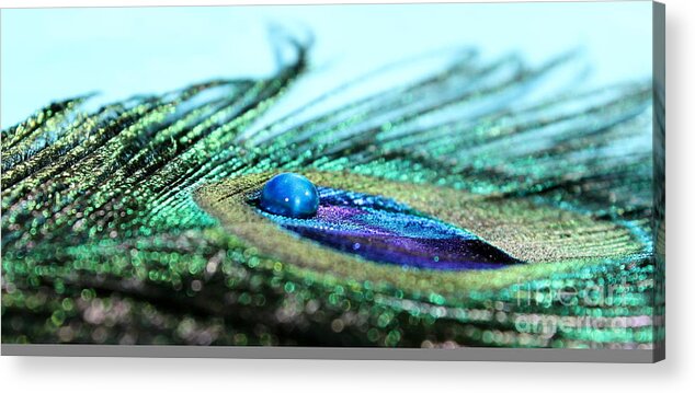Peacock Acrylic Print featuring the photograph Blue by Krissy Katsimbras