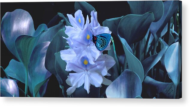 Flower Acrylic Print featuring the photograph Blue Moth and Hyacinth by M Spadecaller