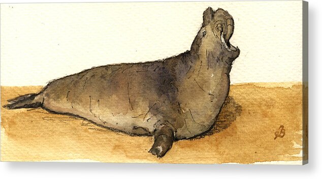 Walrus Acrylic Print featuring the painting Elephant seal by Juan Bosco