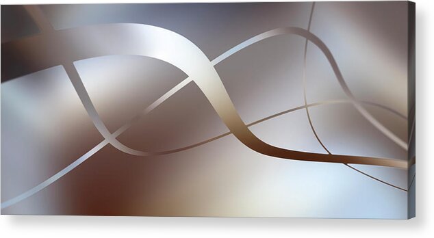 Three Dimensional Acrylic Print featuring the digital art Graceful Lines Intertwined by Ralf Hiemisch