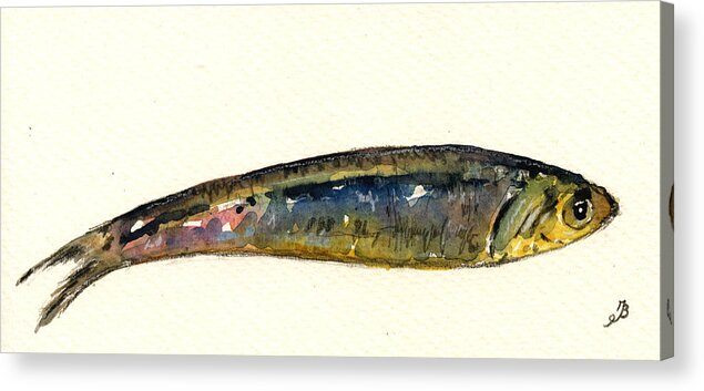 Bait Fish Acrylic Print featuring the painting Pilchard by Juan Bosco