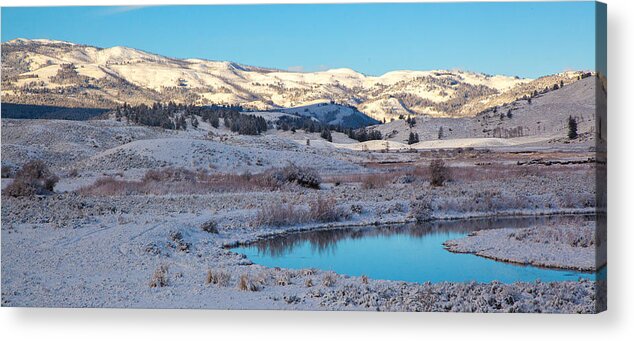 Wildlife Acrylic Print featuring the photograph Slough Creek by Kevin Dietrich