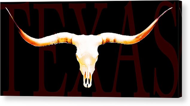 Cow Acrylic Print featuring the painting Texas Longhorns By Sharon Cummings by Sharon Cummings