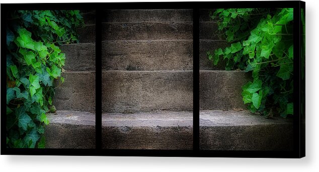 Triptych Acrylic Print featuring the photograph Triptych Ivy Steps by Steve Hurt