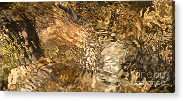 Abstract Nature Acrylic Print featuring the photograph What by Fred Sheridan