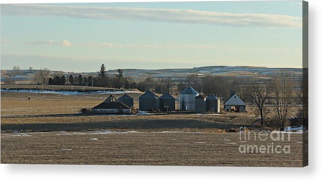 Panorama Acrylic Print featuring the photograph Winter Iowa farmland by Yumi Johnson
