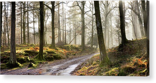 Tranquility Acrylic Print featuring the photograph Winter Woods by All My Images Are Taken In The English Lakedistrict