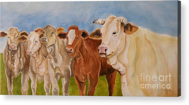 Cows Acrylic Print featuring the painting A Gathering of Cows by Genie Morgan