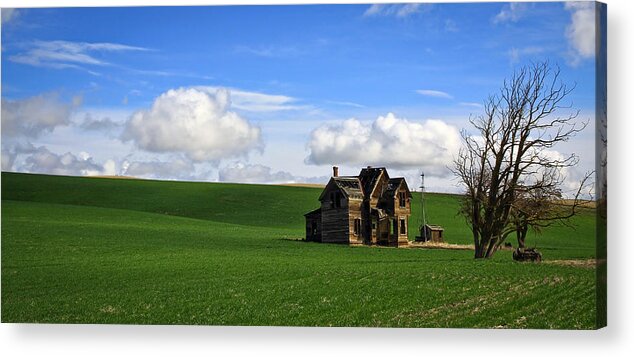 Windmill Acrylic Print featuring the photograph Abandoned House on Green Pasture by Steve McKinzie