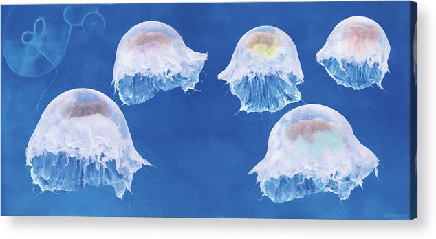 Under The Sea Acrylic Print featuring the photograph The Jellyfish Nursery #1 by Anne Geddes