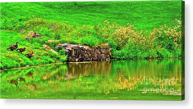  Acrylic Print featuring the photograph The Pond #1 by Tracy Rice Frame Of Mind