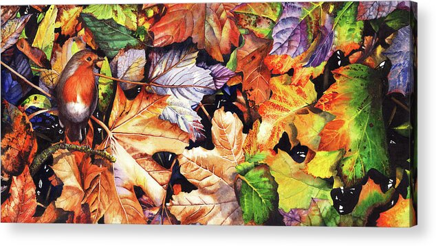 Robin Acrylic Print featuring the painting Autumn Blaze by Peter Williams