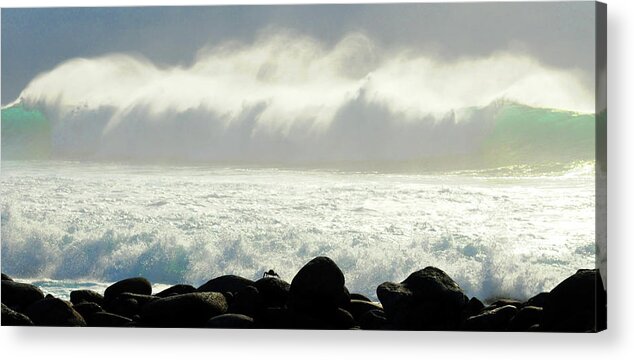 Crab Acrylic Print featuring the photograph Crab Awaiting Impending Wave by Ted Keller