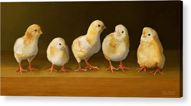 Chicks Acrylic Print featuring the digital art Five Chicks Named Moe by Bob Nolin