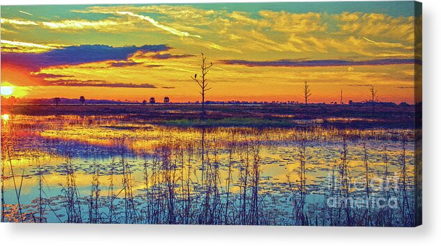 Nature Acrylic Print featuring the photograph Florida Nature Paradise 2 by DB Hayes