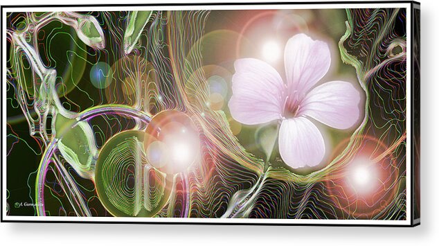 Herbaceous. Plant Acrylic Print featuring the digital art Geranium Fantasy by A Macarthur Gurmankin