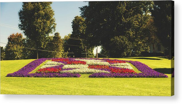 Panorama Acrylic Print featuring the photograph Indiana Quilt Garden by Mountain Dreams
