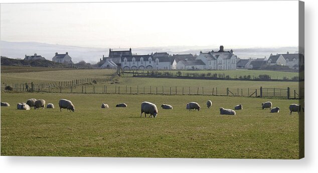 Farm Acrylic Print featuring the photograph Irish Sheep Farm by Henri Irizarri