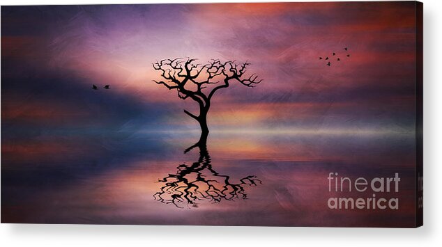 Tree Acrylic Print featuring the digital art Lone Tree Sunrise by Ian Mitchell