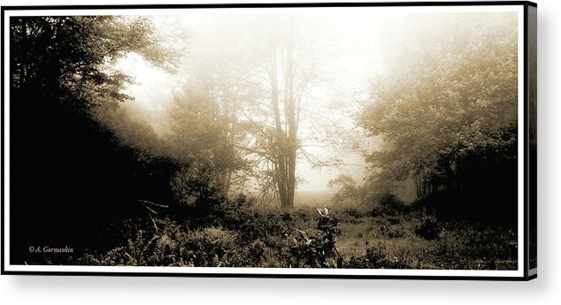 Morning Mist At A Forest Edge Acrylic Print featuring the photograph Morning Mist by A Macarthur Gurmankin