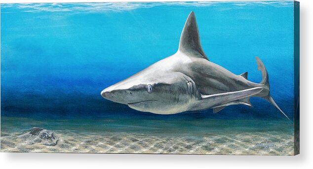 Shark Acrylic Print featuring the painting North Shore Sandbar by Joan Garcia