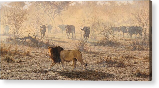 Lion Acrylic Print featuring the painting On Patrol by Alan M Hunt