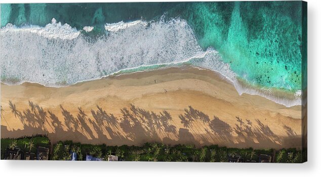 Palm Shadows On The Beach Acrylic Print featuring the photograph Pipeline Palms by Sean Davey