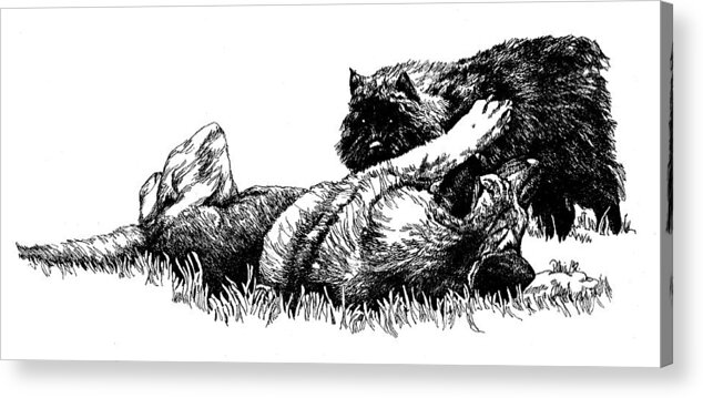 Dog Art Acrylic Print featuring the drawing Shepherd and Bouvier pup by Patrice Clarkson
