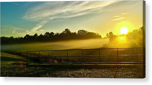 Sunrise Acrylic Print featuring the photograph Sunny Misty Moment by Shawn M Greener