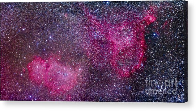 Cassiopeia Acrylic Print featuring the photograph The Heart And Soul Nebulae by Alan Dyer