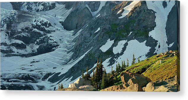 Mt Rainier Acrylic Print featuring the painting The Mountain Goat by Scott Nelson