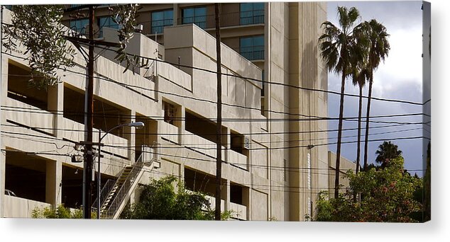 Urban Acrylic Print featuring the photograph Urban Stuff With Palm Tree by Peter Breaux