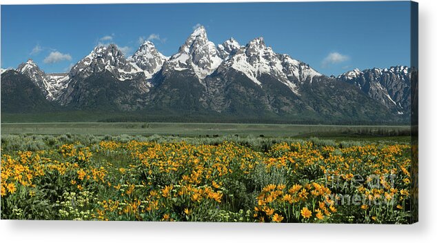 Landscapes Acrylic Print featuring the photograph Grand Teton Summer by Sandra Bronstein