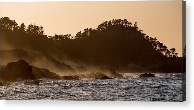 Point Lobos Acrylic Print featuring the photograph Point Lobos Afternoon by Derek Dean