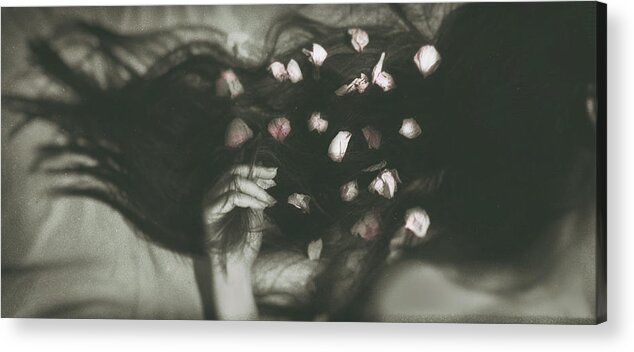 Photography
Woman
Long Hair
Flower Petals
Spring
Emotions
Love
Details
Textures
Photo Art
Monochrome
B&w Acrylic Print featuring the photograph Primavera by Sherin.abdou