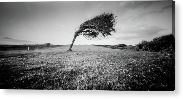Pinhole Acrylic Print featuring the photograph Standing the test of time #1 by Will Gudgeon