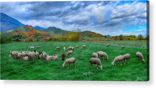 Scenics Acrylic Print featuring the photograph At the pastures of Prinos panorama 3 by Photo By Dimitrios Tilis