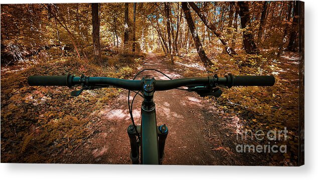 Trail Acrylic Print featuring the photograph Autumn mountain bike trail with handlebars in the foreground by Mendelex Photography
