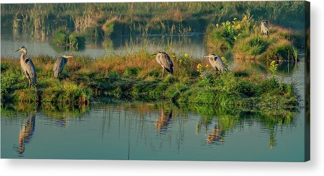 Pei Acrylic Print featuring the photograph Just a Few Friends Planning Their Day by Marcy Wielfaert