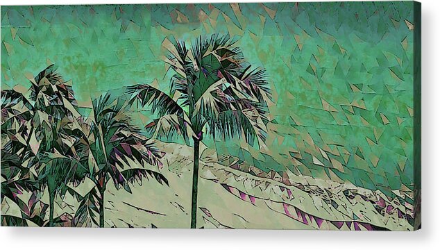 Palm Acrylic Print featuring the photograph Palm Trees 629 by Corinne Carroll