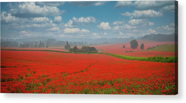 Landscape Acrylic Print featuring the photograph Poppy field 10 by Remigiusz MARCZAK
