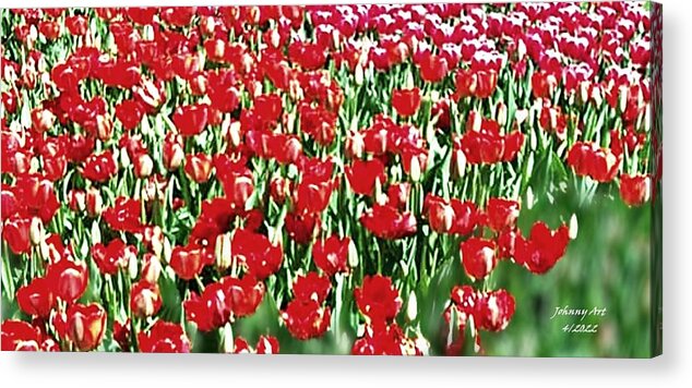 Flowers Acrylic Print featuring the photograph Stand up Troops by John Anderson