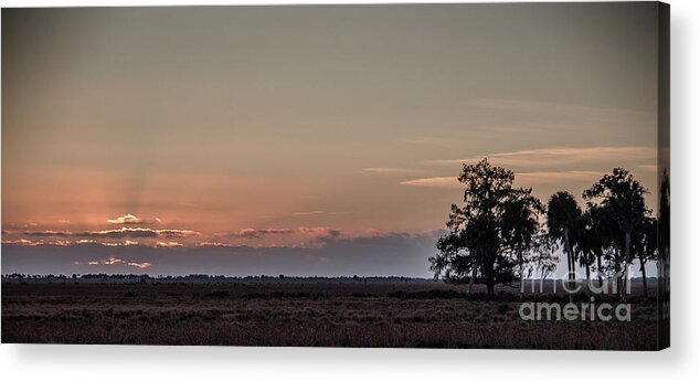 Color Acrylic Print featuring the digital art Sunset on Cattle Ranch by Patti Powers