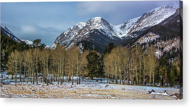 Rocky Mountain National Park Acrylic Print featuring the photograph Winter Aspens by Douglas Wielfaert