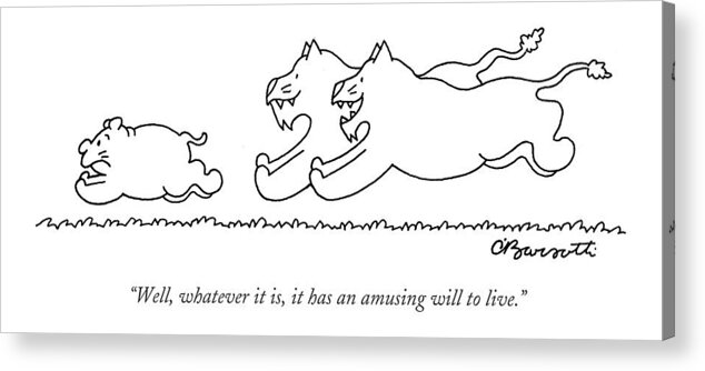 Lions Talking Wild Animals

(two Lions Chasing After An Ambiguous Looking Animal.) 122107 Cba Charles Barsotti Acrylic Print featuring the drawing Well, Whatever It Is, It Has An Amusing by Charles Barsotti