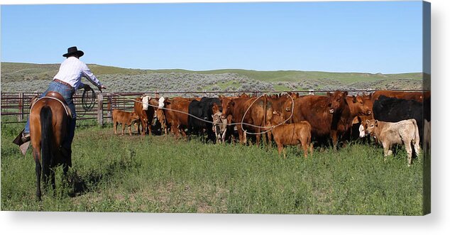 Wyoming 2014 Acrylic Print featuring the photograph Long Loop #4 by Diane Bohna