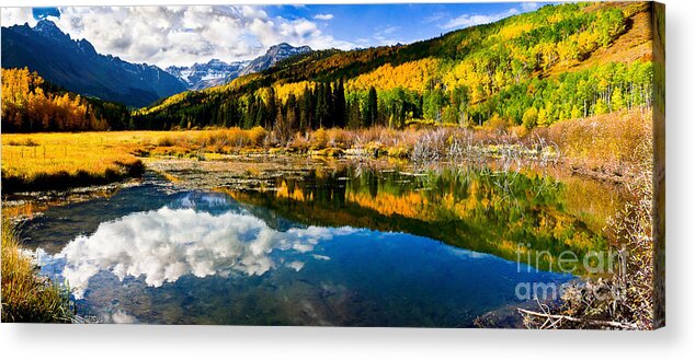 Nature Acrylic Print featuring the photograph Autumn's Glory by Steven Reed