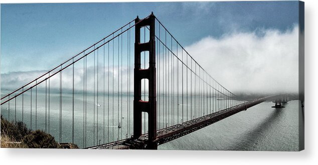 Fog Acrylic Print featuring the photograph Into The Fog by Lucy VanSwearingen